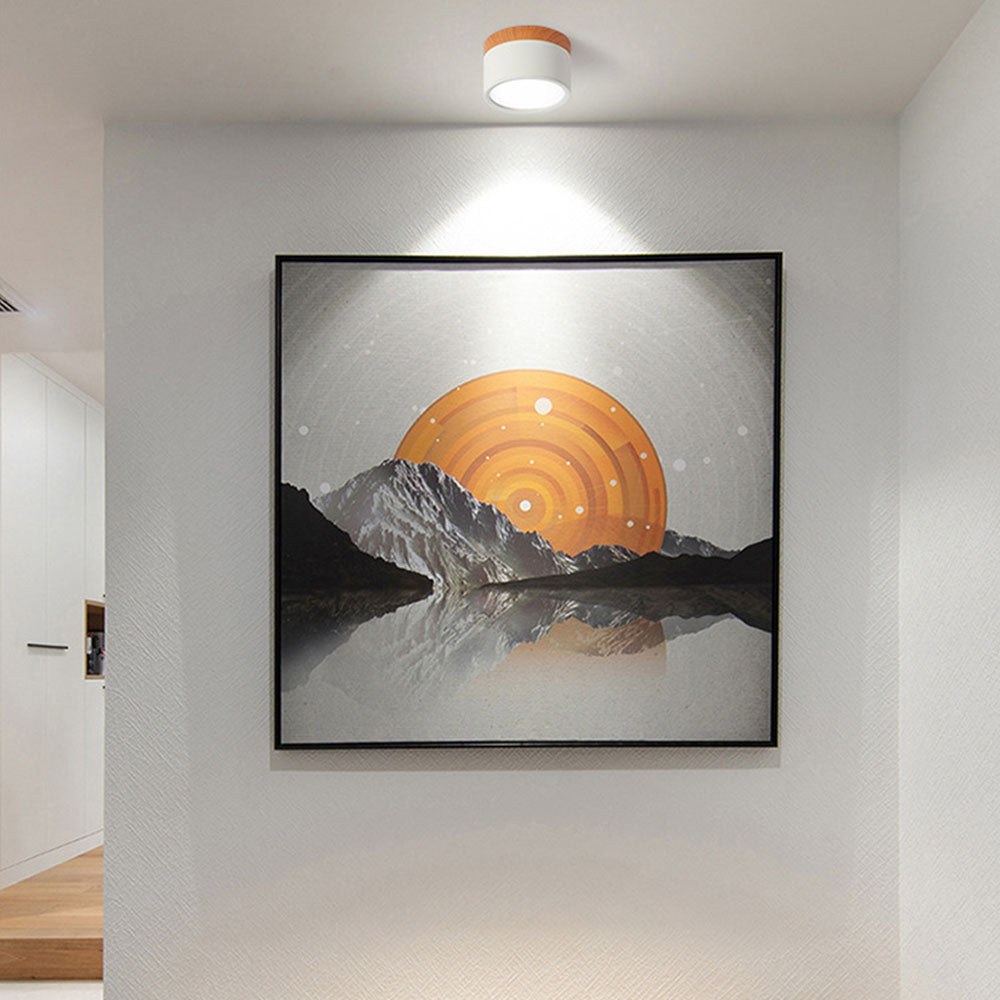 Cylinder Small Flush Ceiling Lights